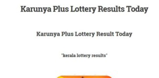 LIVE Kerala Karunya Plus KN 249 Lottery Result Today: First Prize Worth Rs 80 Lakh Will Be Announced Kerala Karunya Plus KN 249 Lottery Result